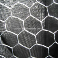 Hot dipped Galvanized Chicken Wire Mesh